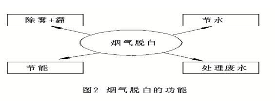 烟气脱白的目的和功能