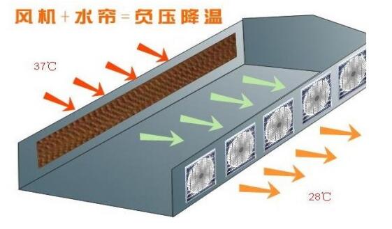 负压风机带给您舒适“空间”